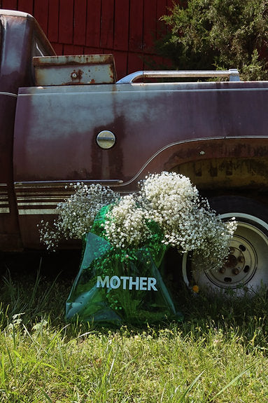 HAPPY LITTLE MOTHER | MOTHER JELLY BAG CACTUS