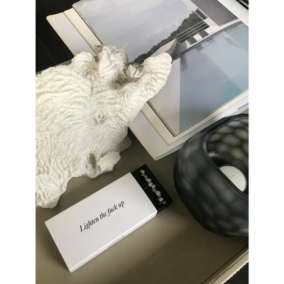 LIGHTEN THE F*%K UP MATCHES