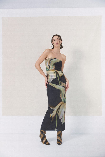 SIGNIFICANT OTHER SURA STRAPLESS DRESS