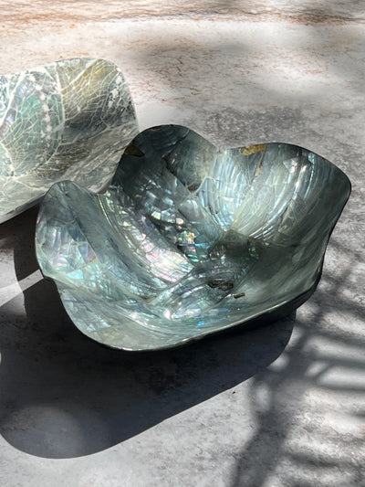 Abalone Trinket Clam Shell Dish