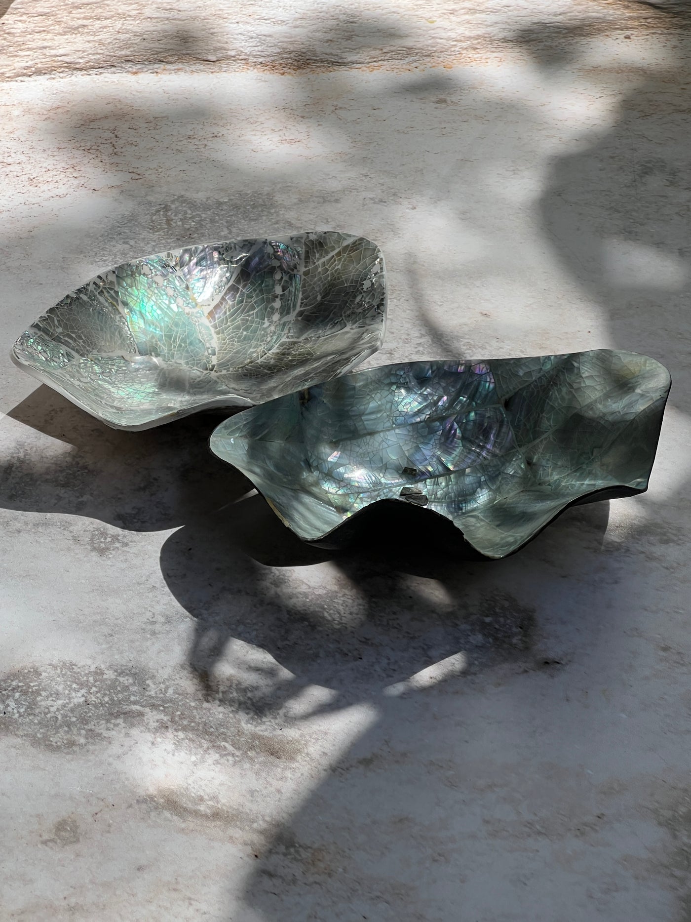 Abalone Trinket Clam Shell Dish