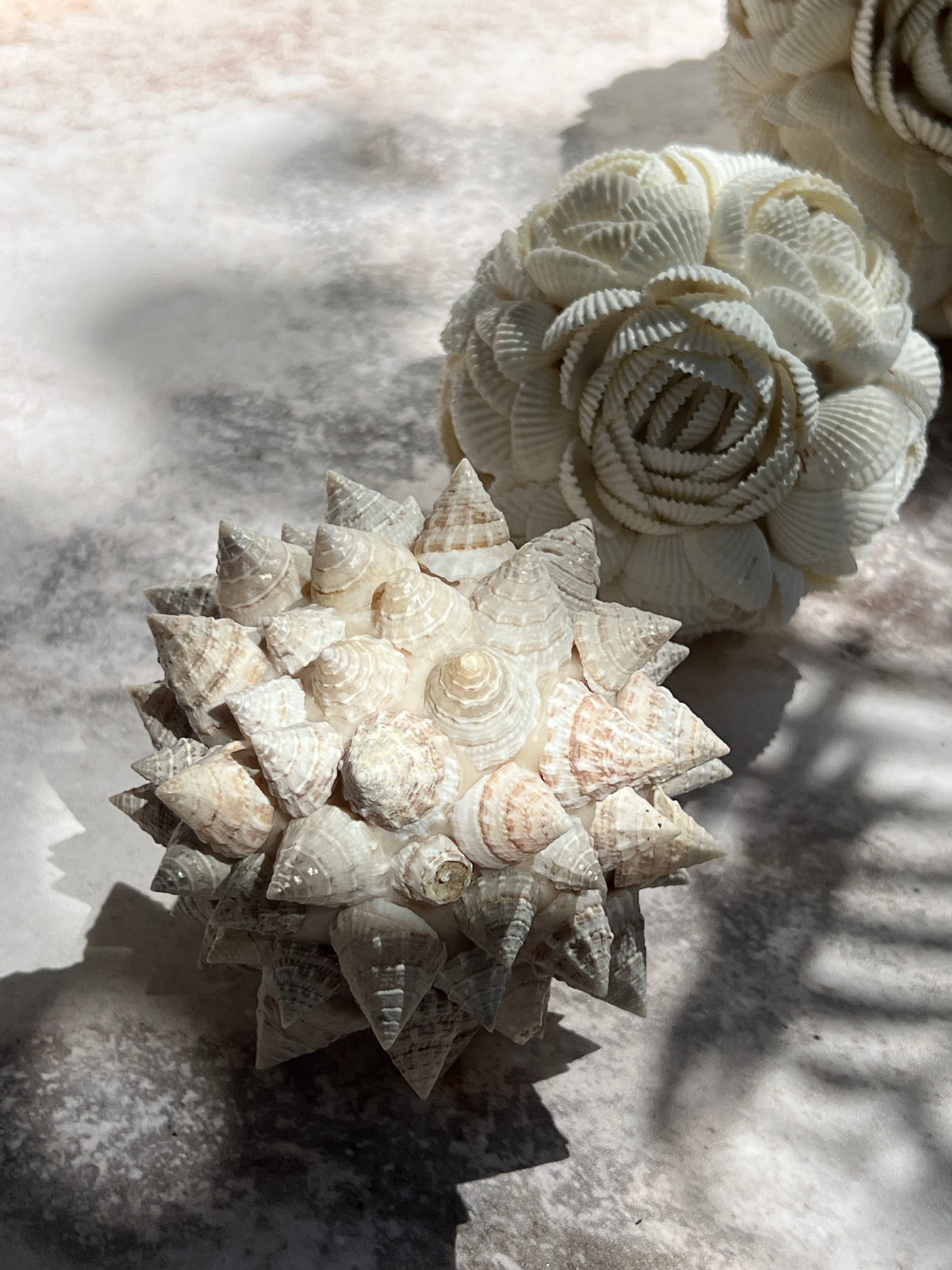 Shell decor