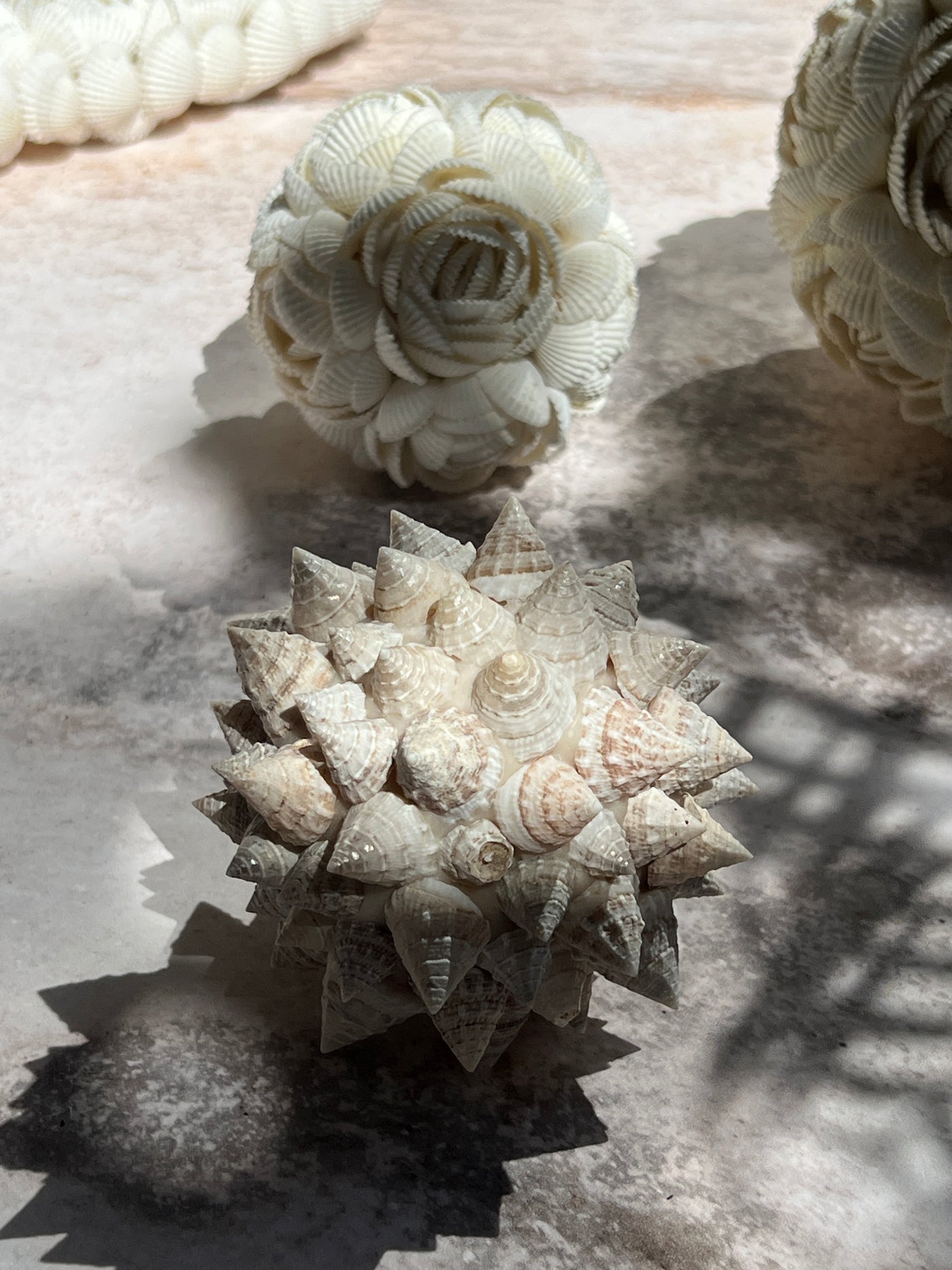 Shell decor