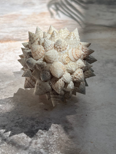 Shell decor