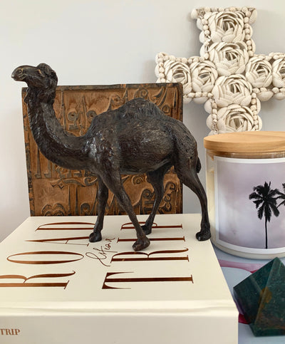 Brass Camel Decoration Black Baby Lemonade Store