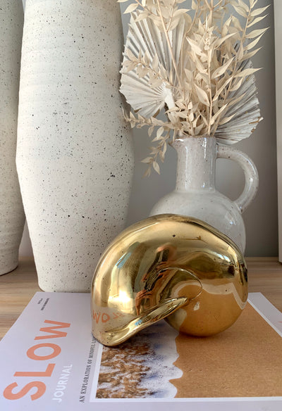 SEASHELL ~ GOLDEN