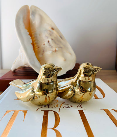 Brass Birds Home Decor Baby Lemonade Store