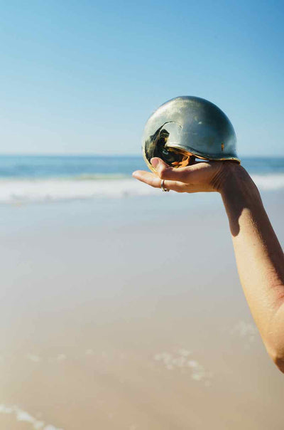 SEASHELL ~ GOLDEN