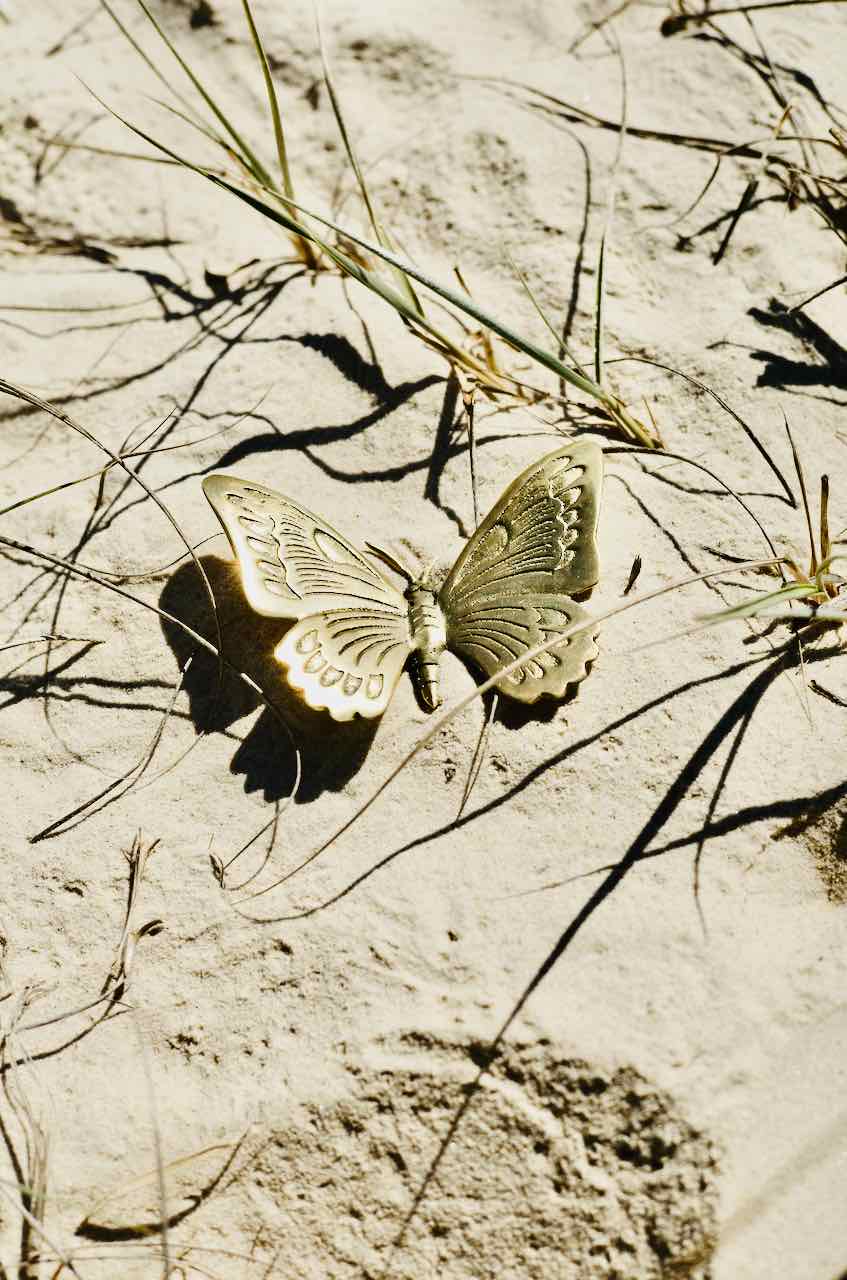 Brass Butterfly decor. Baby Lemonade Store