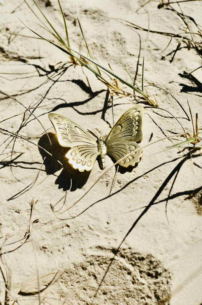 Brass Butterfly decor. Baby Lemonade Store