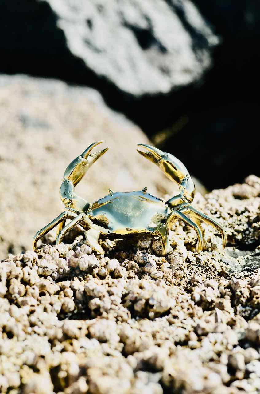 Brass Crab home decor Baby Lemonade Store